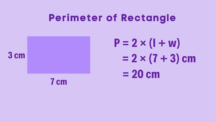 محیط مستطیل: آموزش 0 تا 100 با فرمول و آنلاین و PDF رایگان