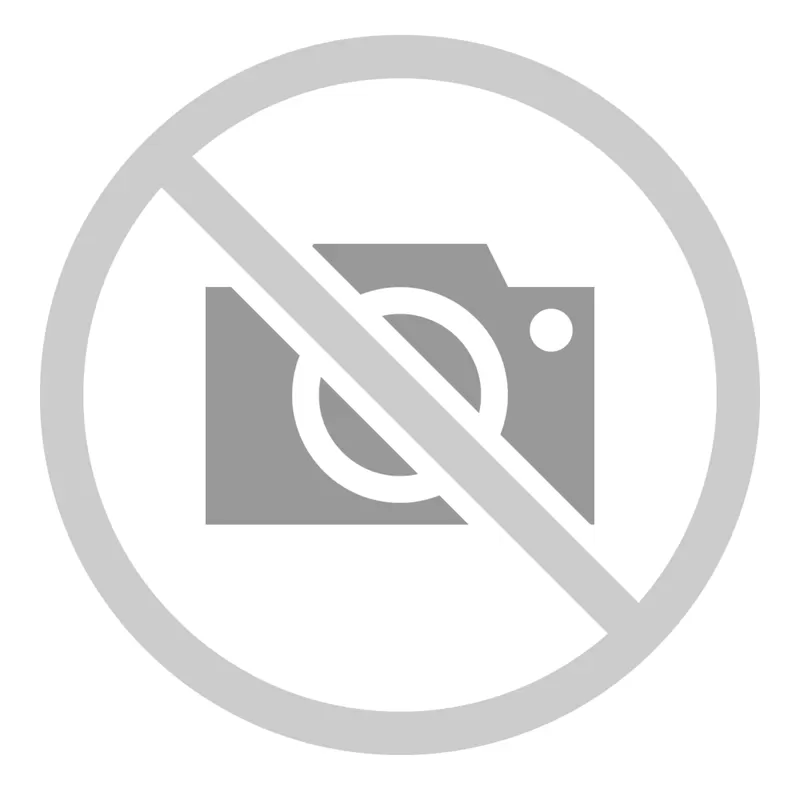 Image Text